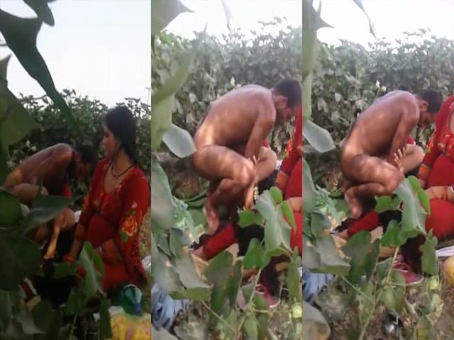 Swapping couples hot Dehati sex scandal MMS