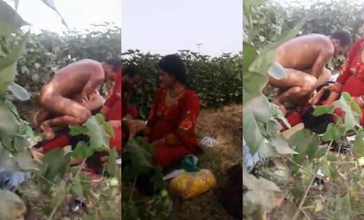 Indian step mom and daughter XXX